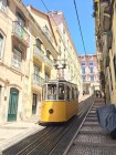 Lisbon's photogenic trams